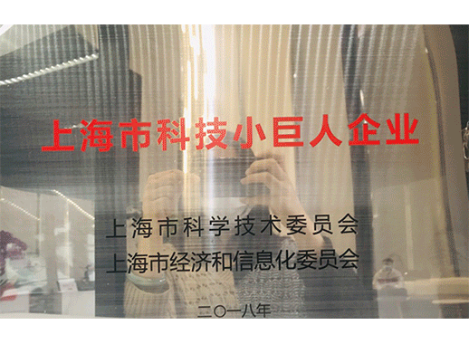 荣誉展示-3.gif